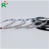 Classical SMD2216 DC24V 120LEDs m CE ROHS Flexible LED Strips for Home Decoration