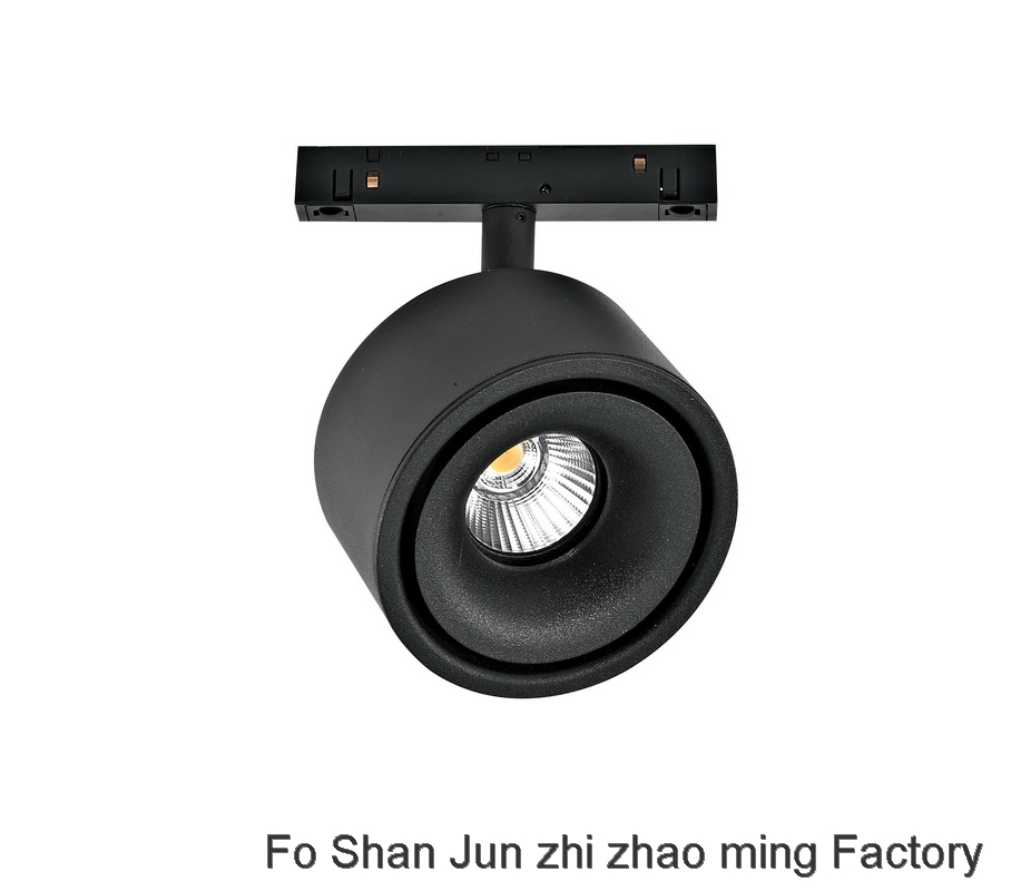 Magnetic absorption track lamp