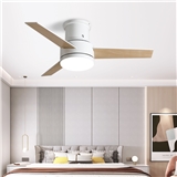 Modern simple ceiling fan with lamp home decoration fan