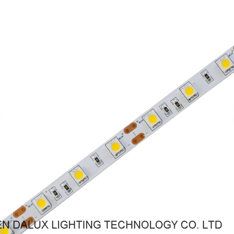 DC12V SMD5050 48leds m LED strips