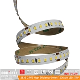 2835 LED Strip-160 m 24V CRI95 19.2W 120LM W LED STRIP