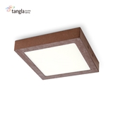 LED ceiling lamp