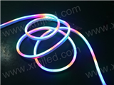 color changing led neon rope light& 5050 RGB led strip waterproof 60led m 24V 220V