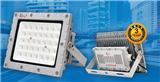 Explosion-proof floodlight for project funds