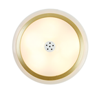 CL019 Voice Control Night Light