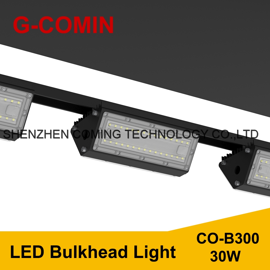 LED Bulkhead Light CO-B300 30W