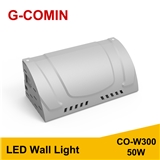 LED Wall Light CO-W300 50W