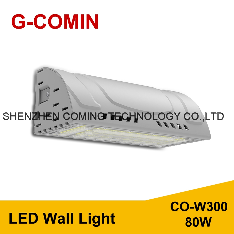 LED Wall Light CO-W300 80W