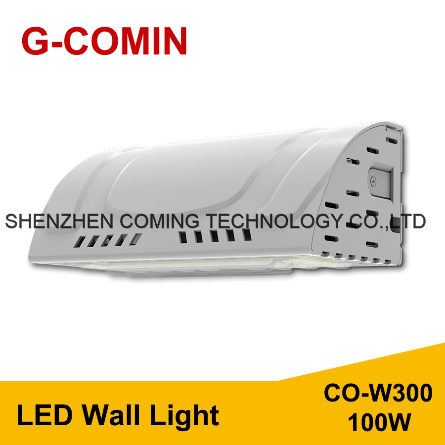 LED Wall Light CO-W300 100W