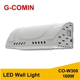 LED Wall Light CO-W300 100W