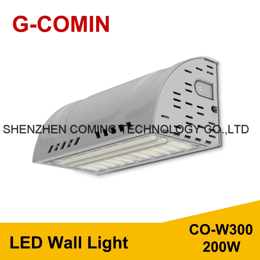 LED Wall Light CO-W300 200W