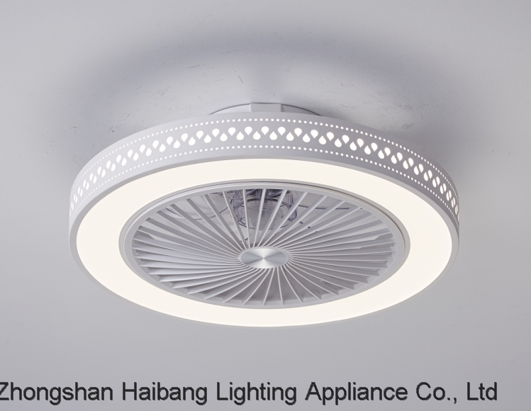 Ceiling fan lamp Fan light