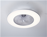 Fan light Ceiling fan lamp