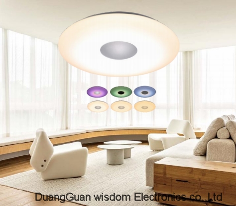 PMMA Ceiling Lamp 500mm