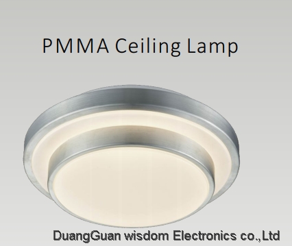 PMMA Ceiling Lamp