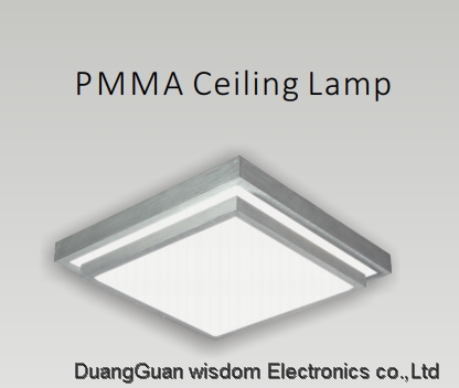 PMMA Ceiling Lamp