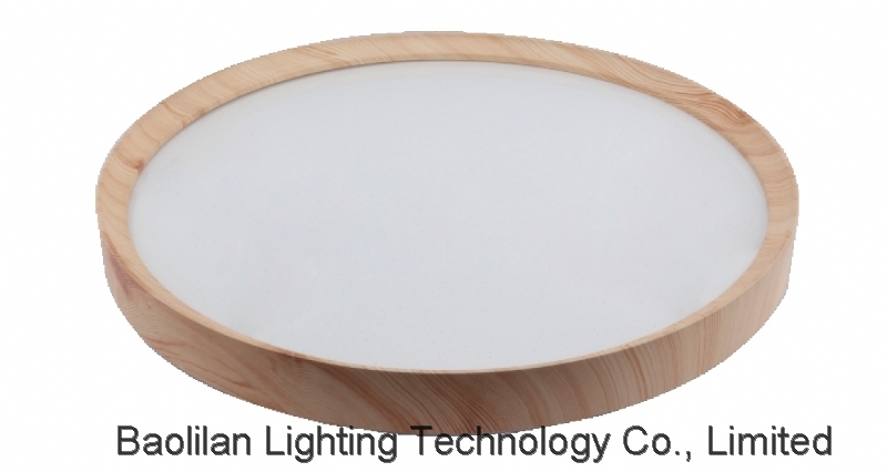 PEETA LED CEILING LAMP