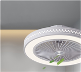 Ceiling fan lamp Fan light