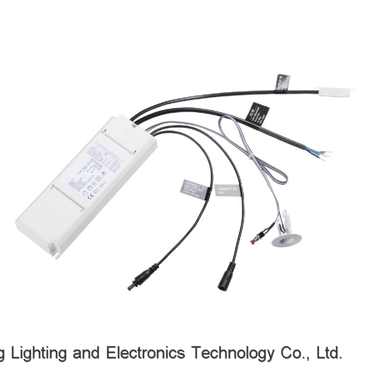 LED Emergency Conversion Kit for Panel Light CR-7100