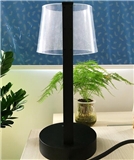 台灯 Desk lamp