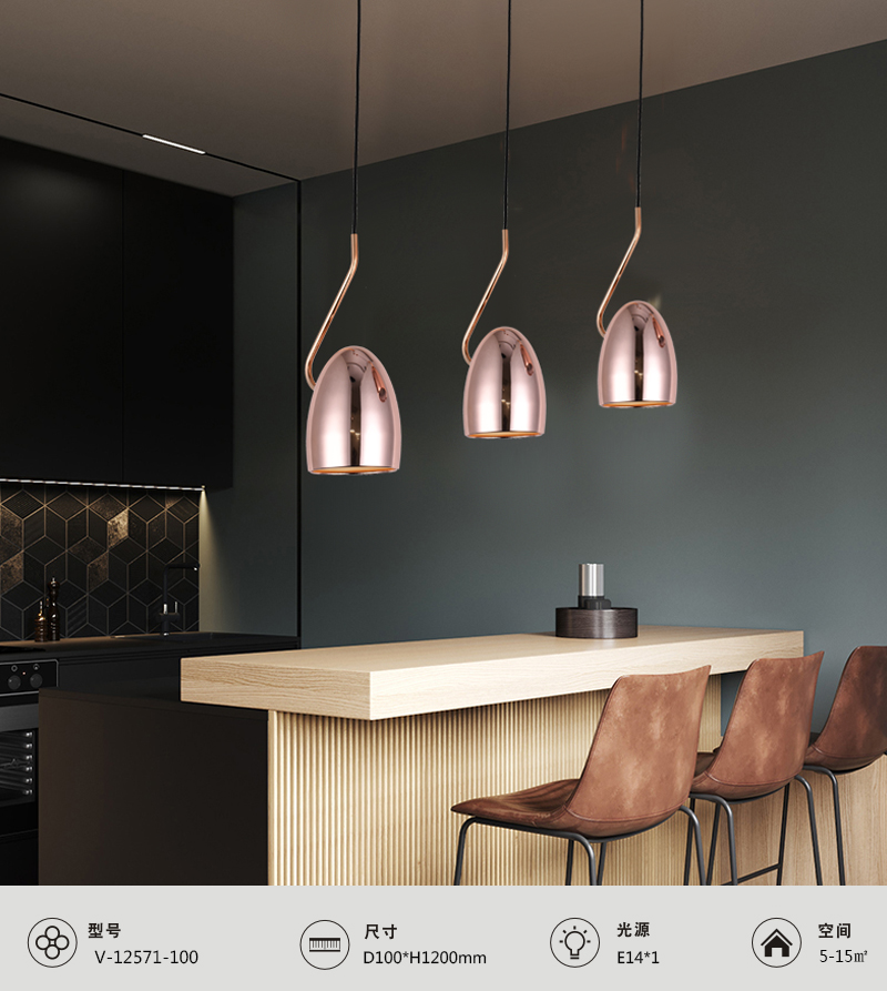 Pendant lamp-19