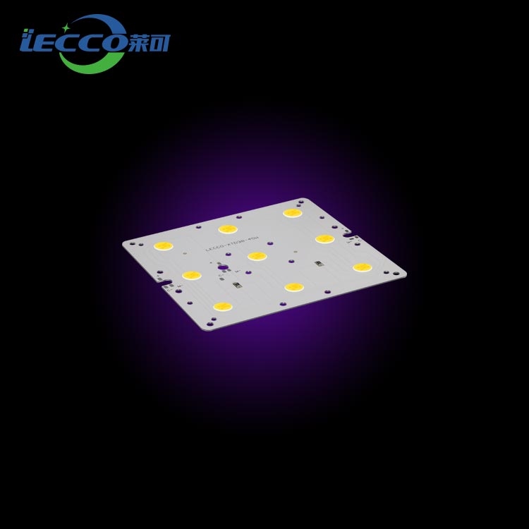 COB lamp bead LECCO-XTD38-45W 12C6B*2