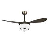 New Indoor Classic Antique Decorative remote control Ceiling Fan With Light
