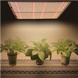 LED grow light 480W Meanwell driver ceiling light boards full spectrum sunlight for indoor plantgrow