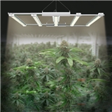NEW design Led Grow Light Led Full Spectrum Hydroponic Led Grow Light bar