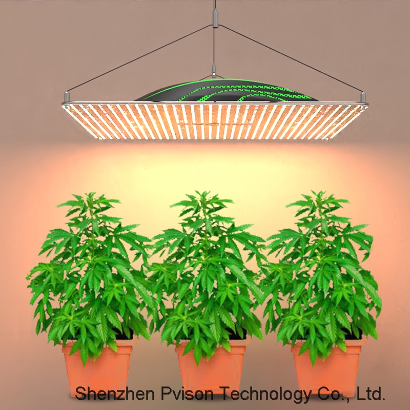 Best Commercial Horticulture grow light 320W LED Grow LED Full Spectrum vertical farming light