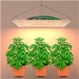 Best Commercial Horticulture grow light 320W LED Grow LED Full Spectrum vertical farming light