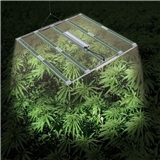 NEW design Led Grow Light Led Full Spectrum Hydroponic Led Grow Light bar