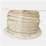 AC 220 V input smd 2835 led strip light for wholesale