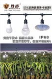 LED plant growh light series SZ-LED-ZW