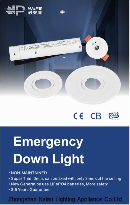 Emergency Down Light