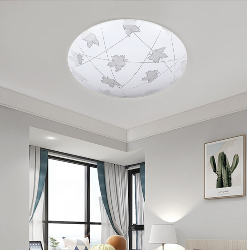 LED simplicity Ceiling lamp