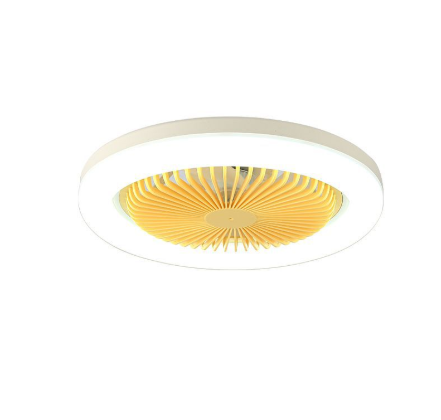 LED Ceiling lamp Fan lamp