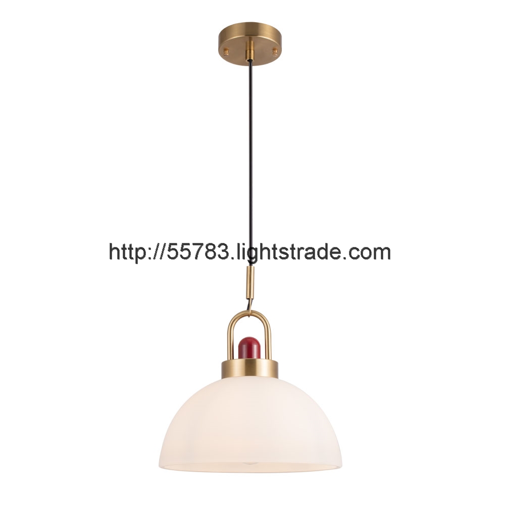E27 LED PENDANT LAMP HCE220328