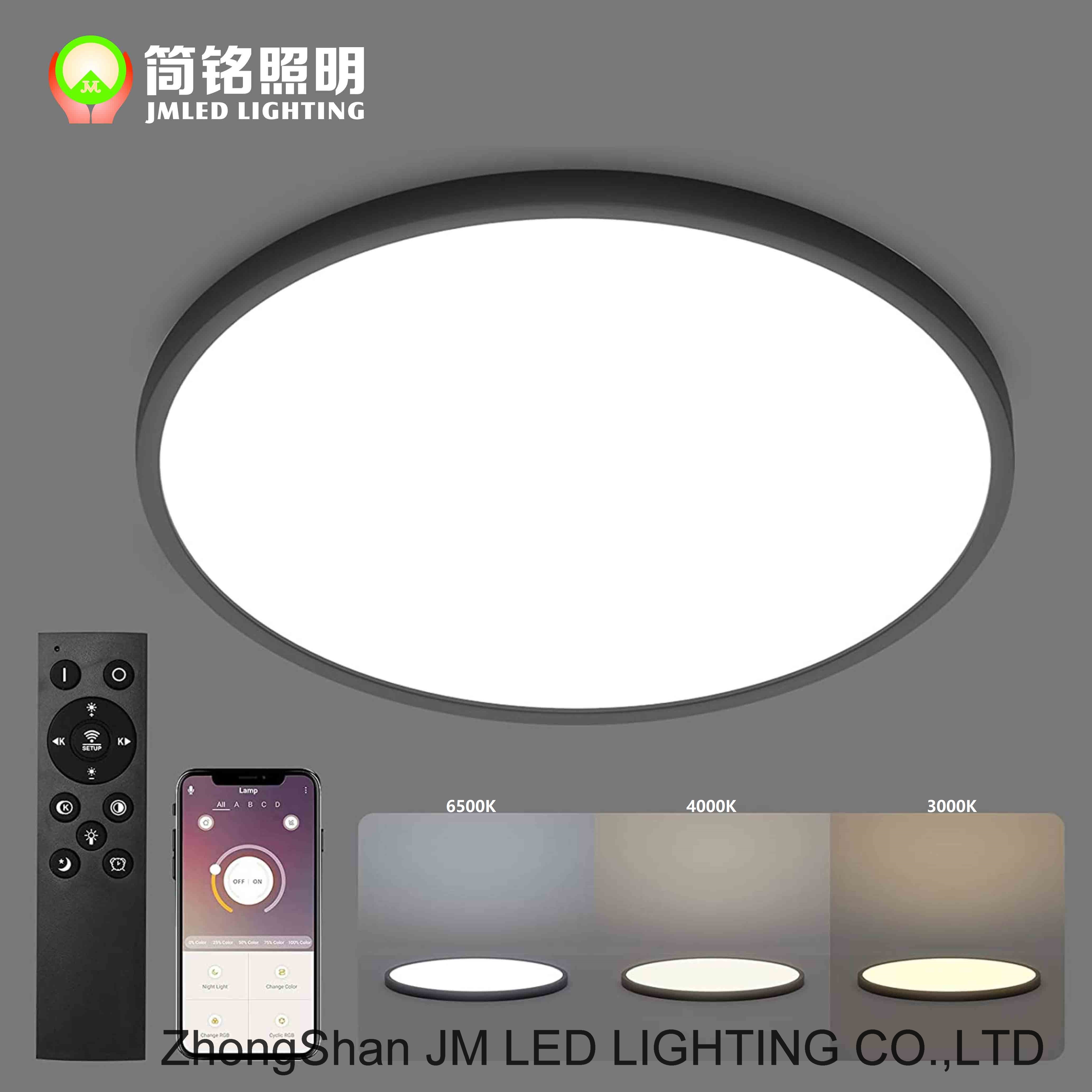 LED ceiling lamp panel light big round panel light 30w