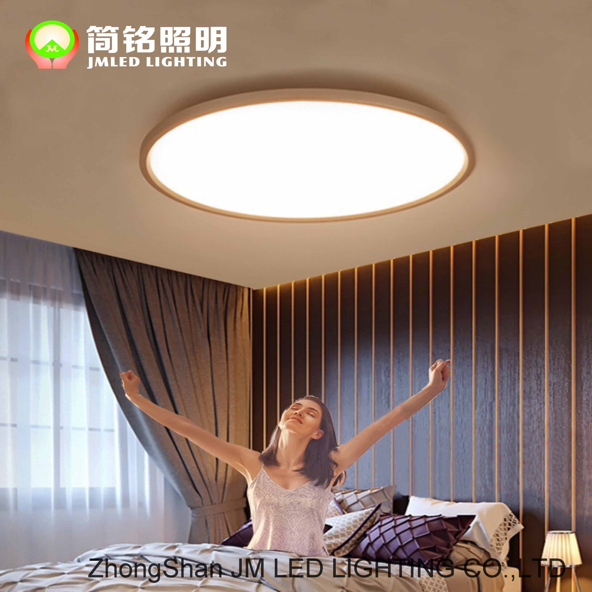 LED ceiling lamp panel light big round panel light 80w