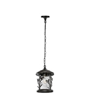 Pendant light hanging Lantern pendant light Outdoor hanging ceiling lamp for outdoor pendant lights