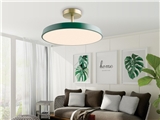 FOREST Ceiling Lamp