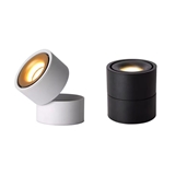 Commercial Indoor Round Spot Down Light LED COB Surface Downlight