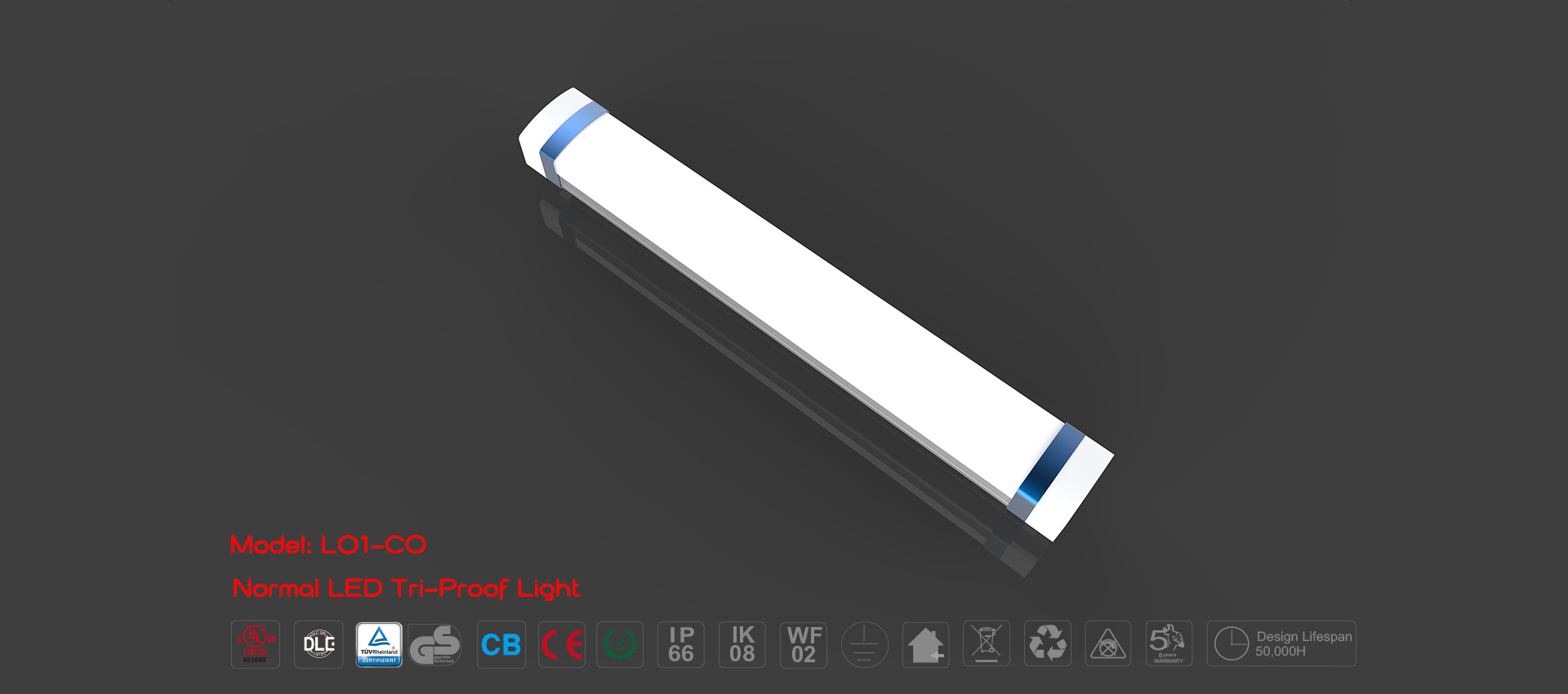 LED Tri-proof Light L01-CO