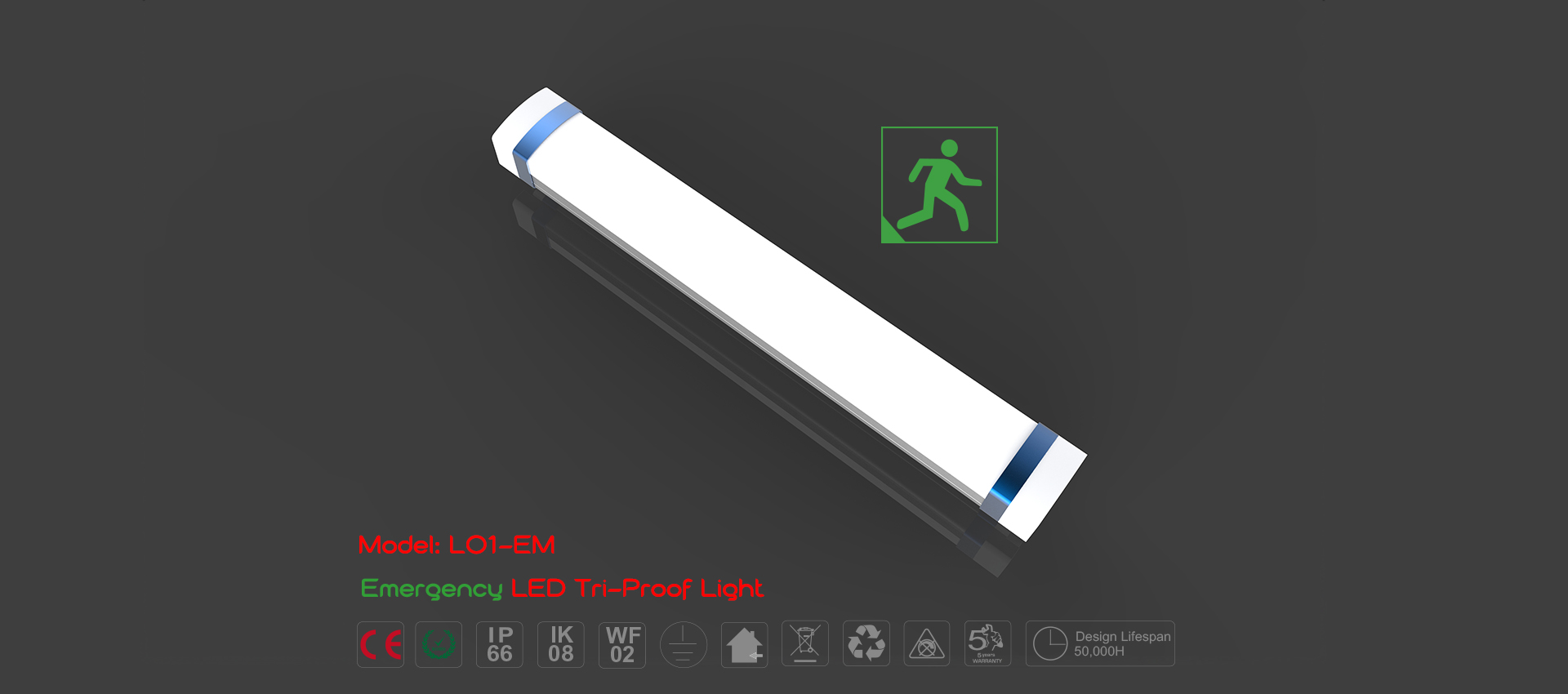 LED Tri-proof Light L01-EM