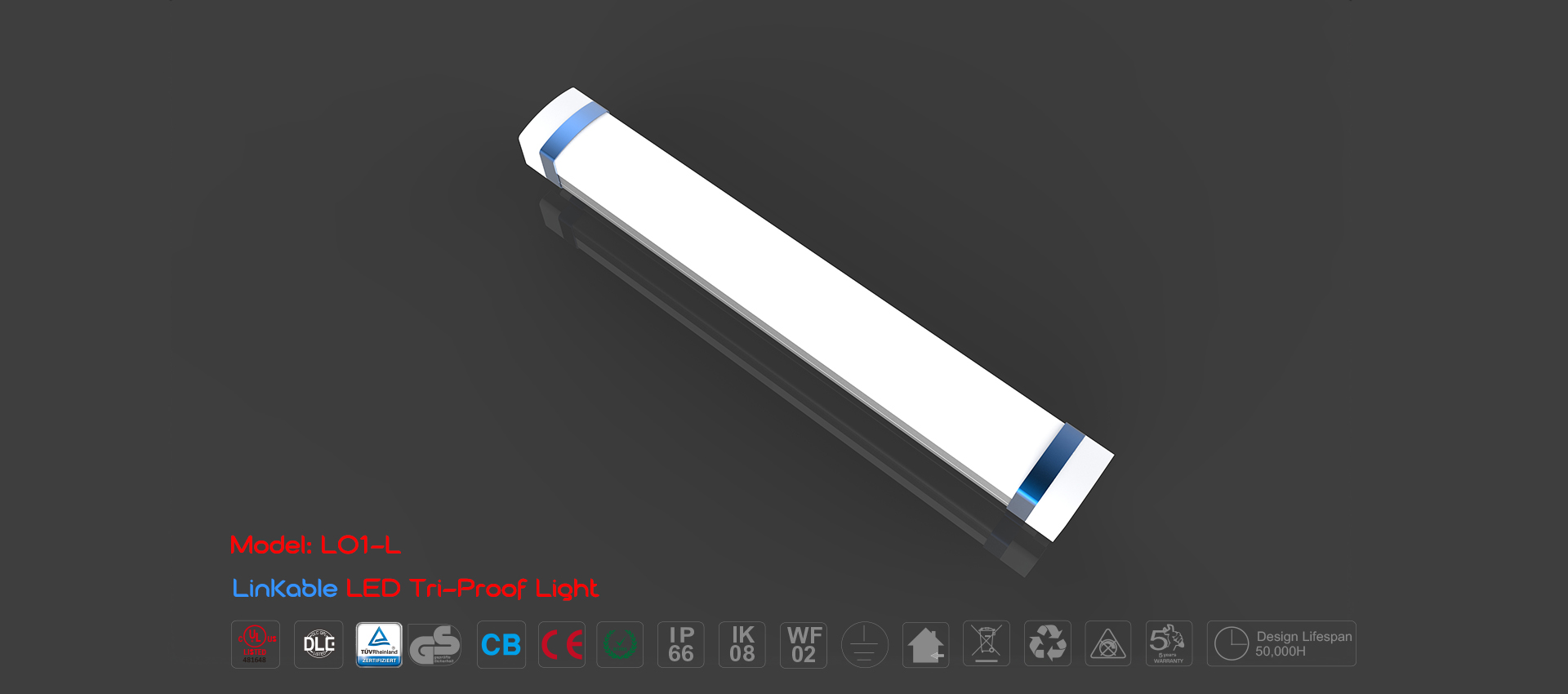LED Tri-proof Light L01-L