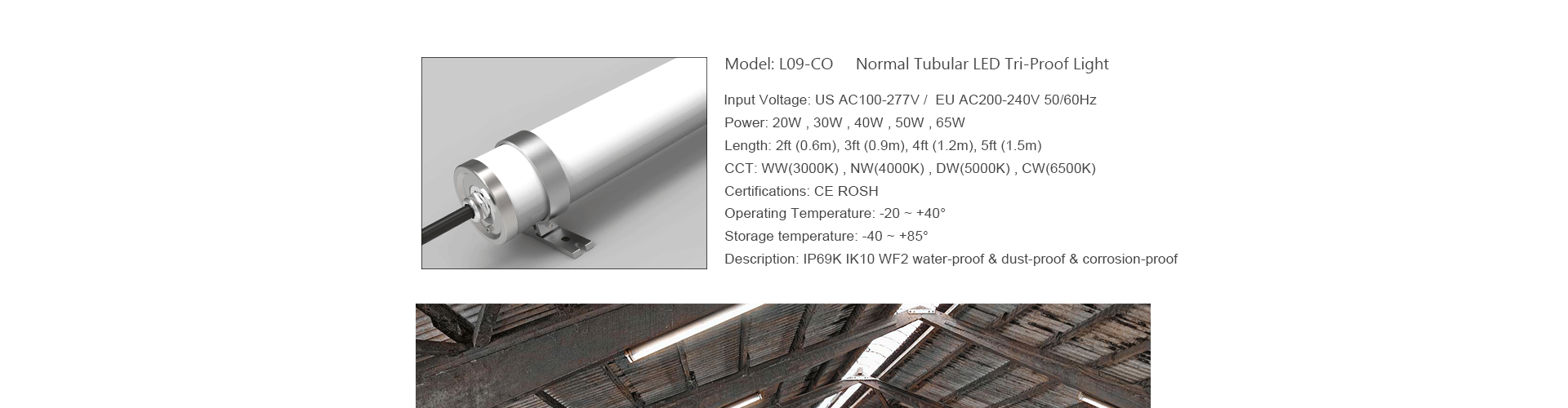 Tubular LED Tri-proof Light L09-CO