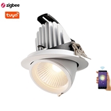 FiytaLED A4 Series Zibee Tuya Down Spot Lights 12-60W Smart Lighting Direct Factory