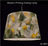 Modern Printing Ceiling Lamp