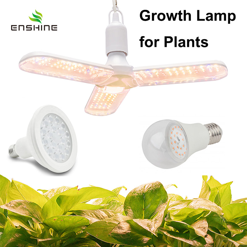 LED Grow Light
